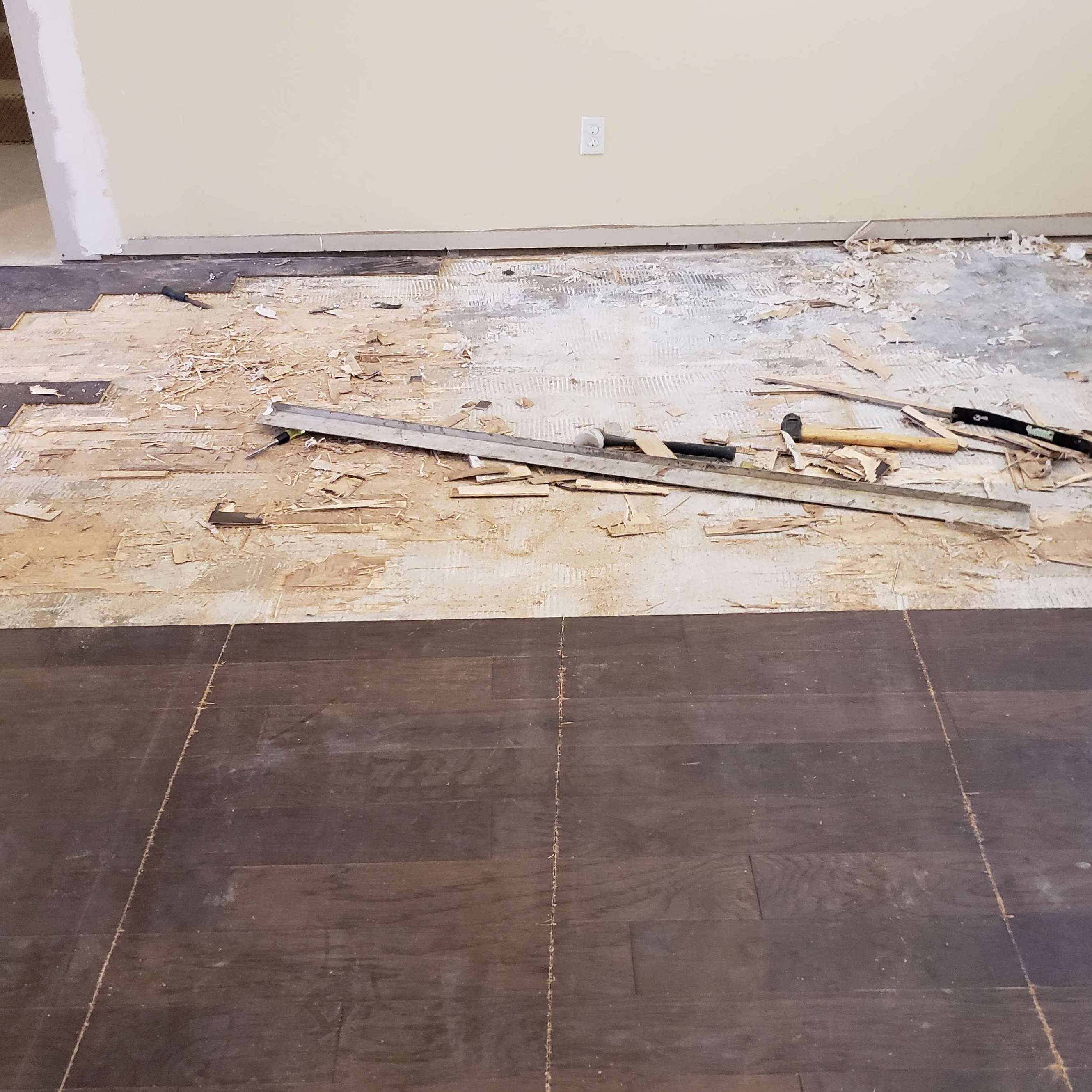 31 Aesthetic Wood floor repair jacksonville fl for Laminate Flooring